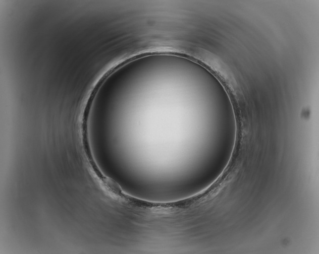 X0000097991181200803241335
