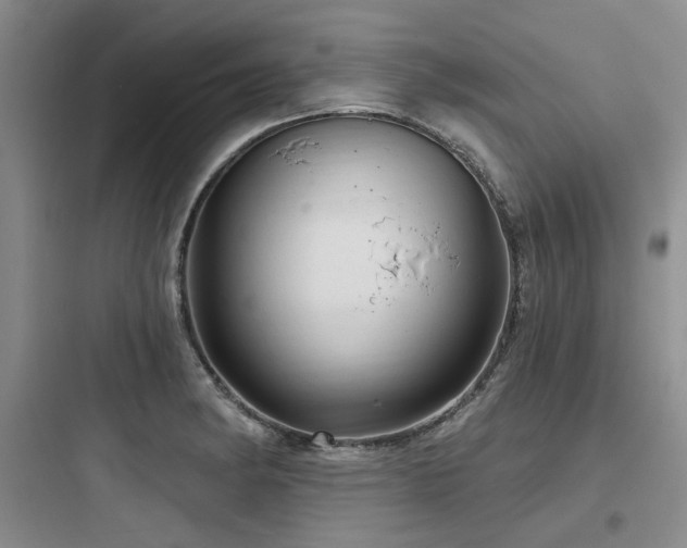 X0000097991182200803241335