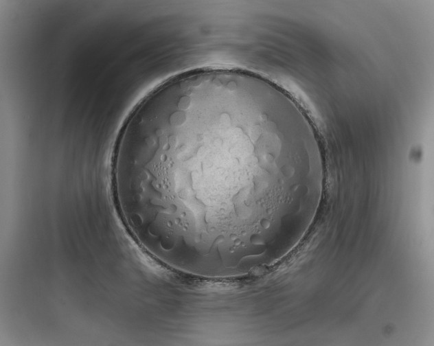 X0000097991183200803241335