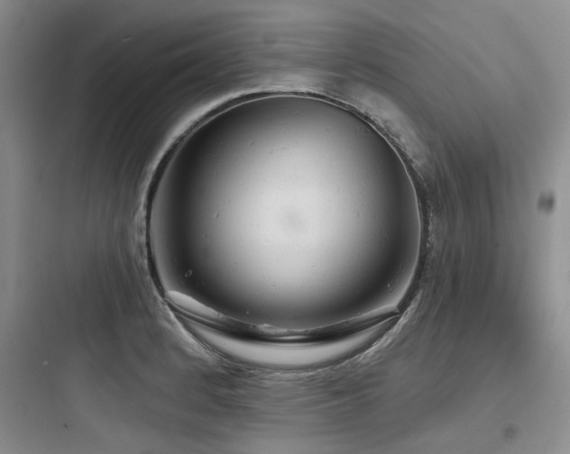 X0000097991184200803241335