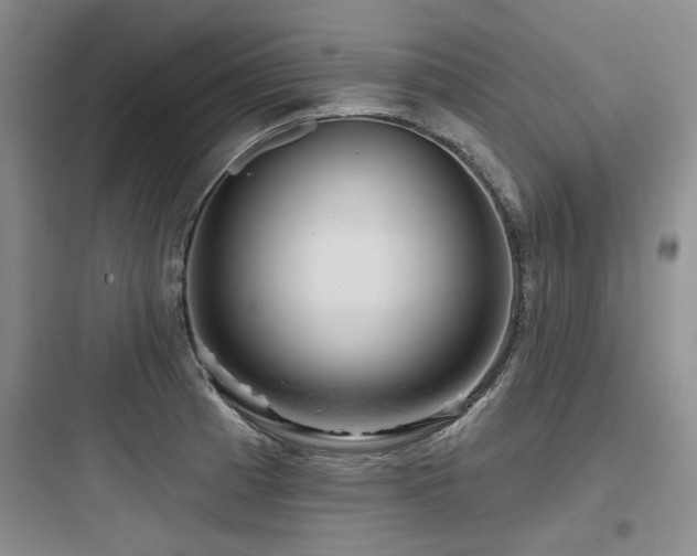 X0000097991185200803241335