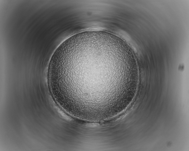 X0000097991186200803241335