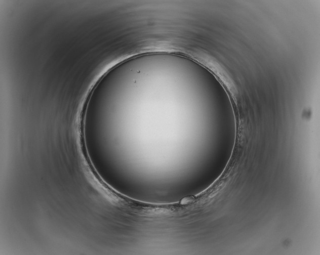 X0000097991187200803241335