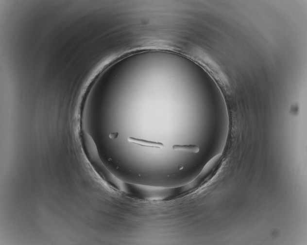 X0000097991188200803241335