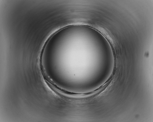 X0000097991189200803241334