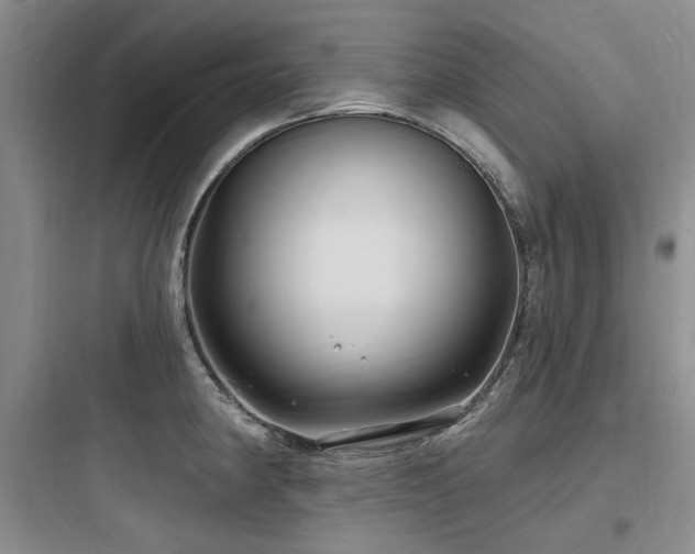 X0000097991190200803241334