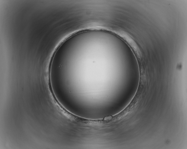 X0000097991191200803241334