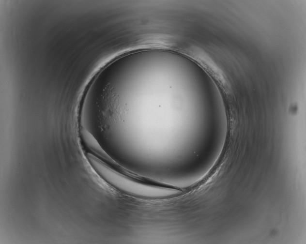 X0000097991192200803241334