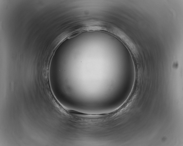 X0000097991193200803241334