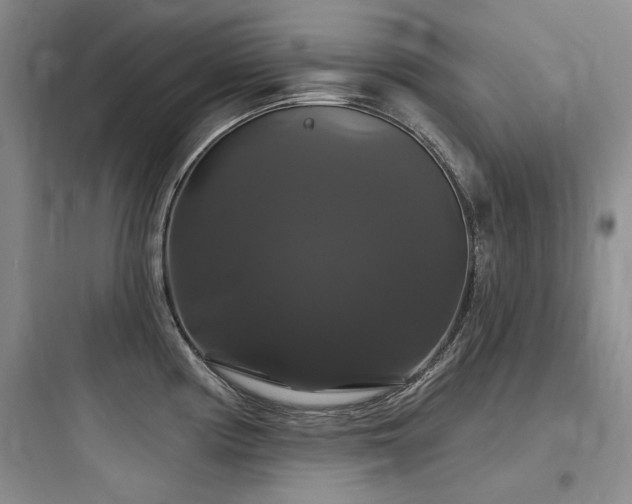 X0000097991194200803241334