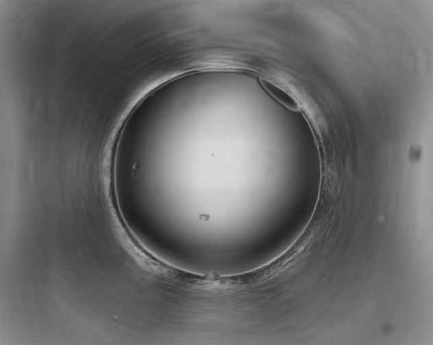 X0000097991195200803241334