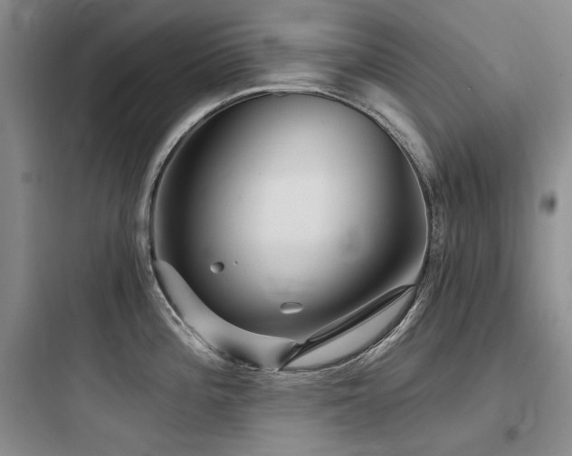 X0000097991196200803241334