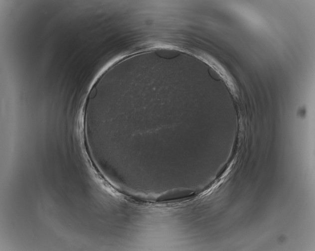 X0000097991198200803241334