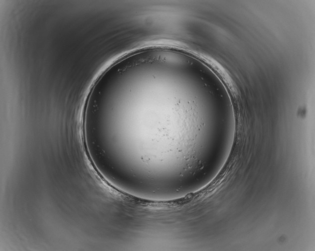 X0000097991199200803241334