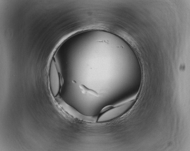 X0000097991200200803241334