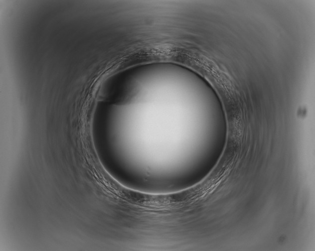 X0000097991201200803241334