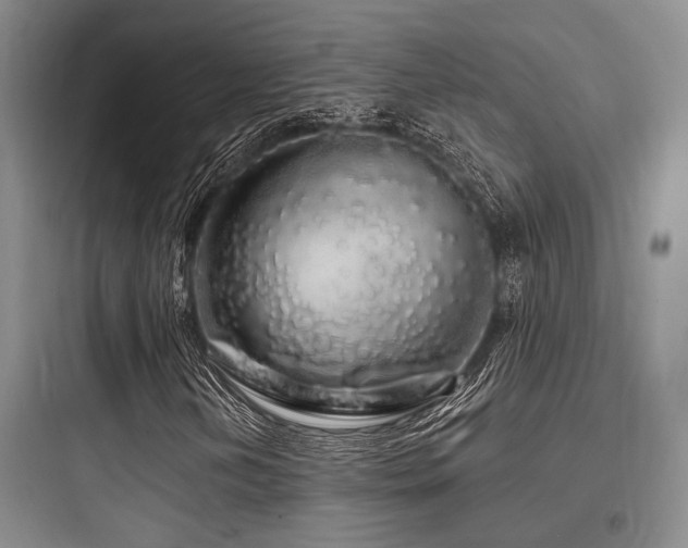X0000097991202200803241334