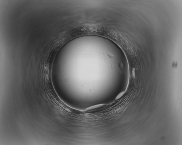 X0000097991203200803241334