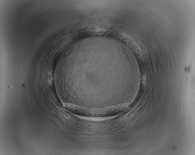 X0000097991204200803241334