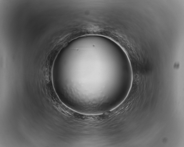 X0000097991205200803241334