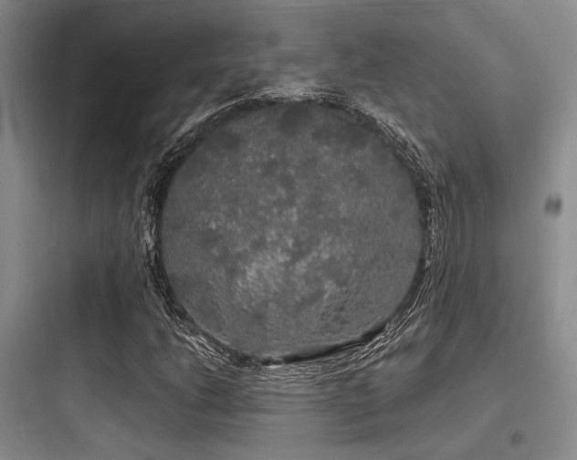 X0000097991206200803241334