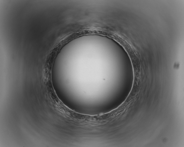 X0000097991207200803241334