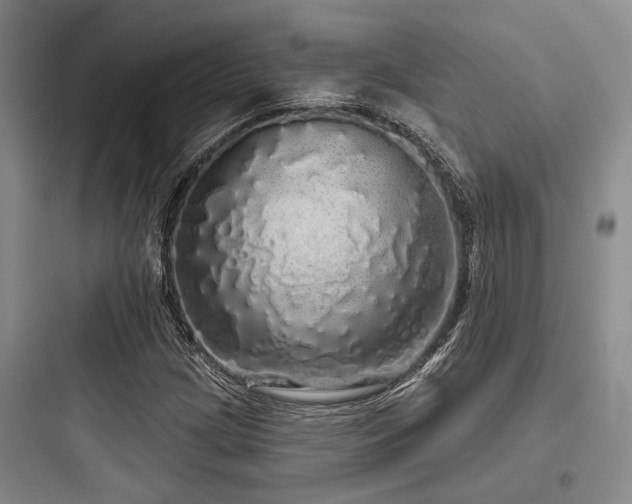 X0000097991209200803241334