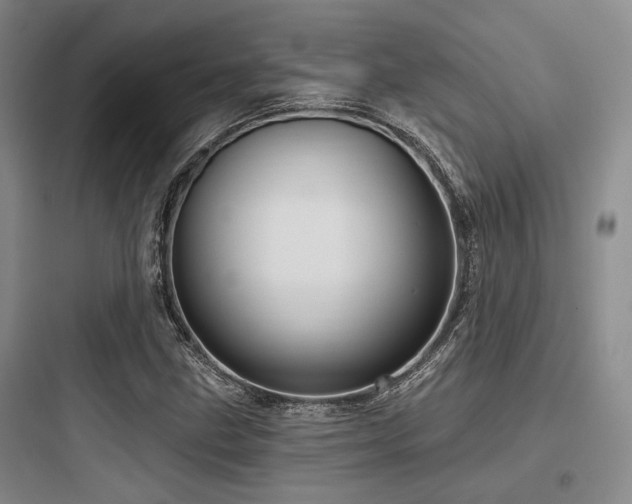 X0000097991211200803241334