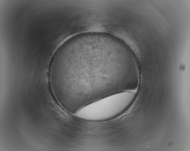 X0000097991212200803241334