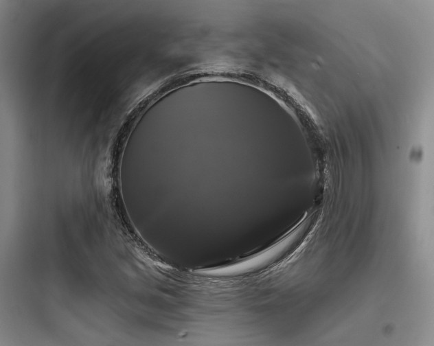 X0000097991213200803241334