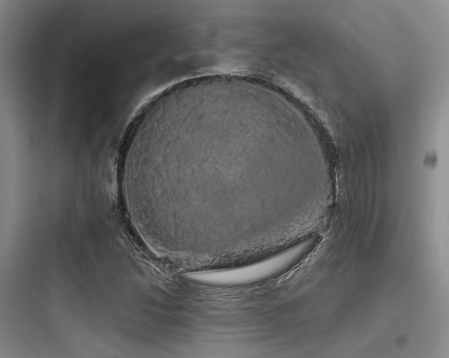 X0000097991214200803241334
