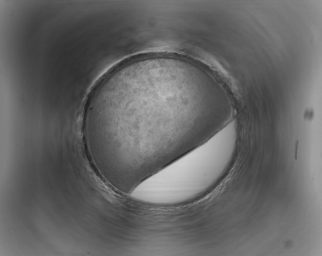 X0000097991216200803241334