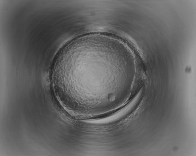 X0000097991218200803241334