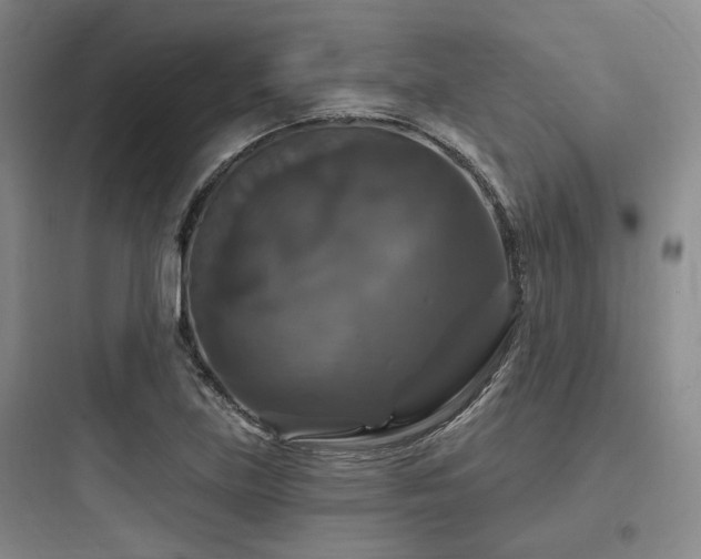 X0000097991219200803241334