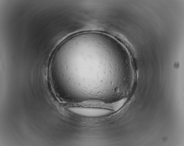 X0000097991220200803241334