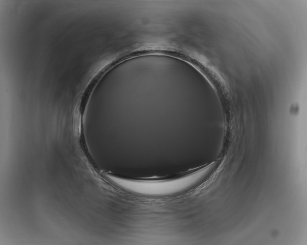 X0000097991221200803241334