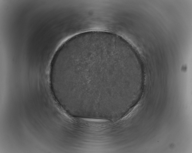 X0000097991222200803241334