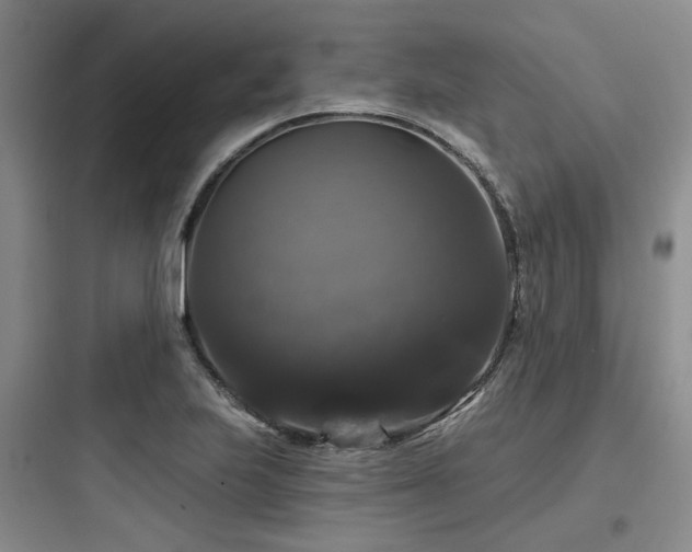 X0000097991223200803241334