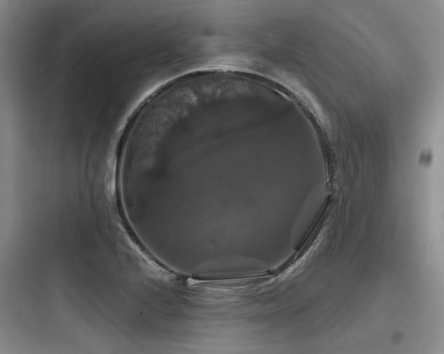 X0000097991224200803241334