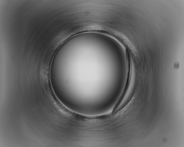 X0000097991225200803241334