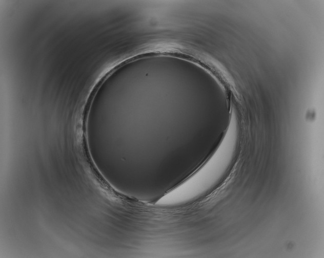 X0000097991226200803241334