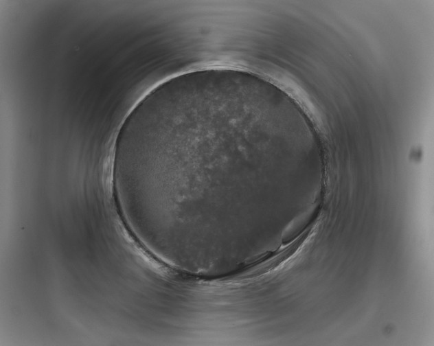 X0000097991228200803241334