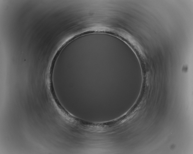 X0000097991229200803241334