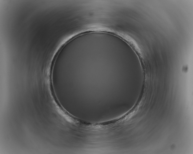 X0000097991231200803241334