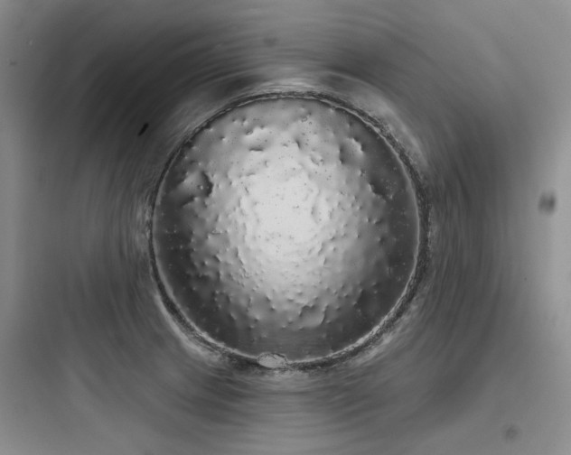 X0000097991233200803241334