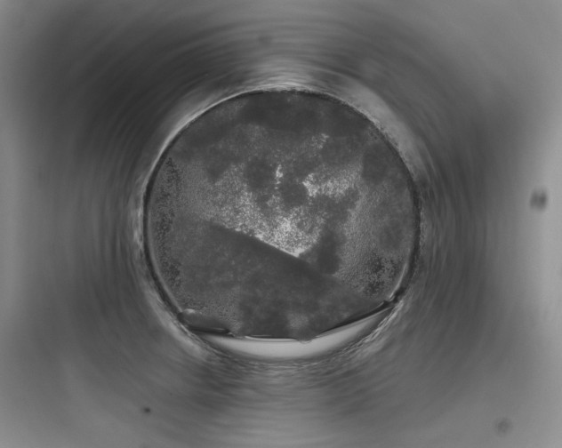 X0000097991234200803241334