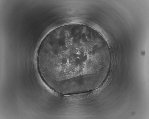 X0000097991235200803241334