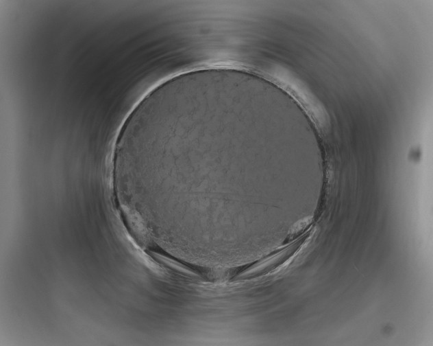 X0000097991236200803241334