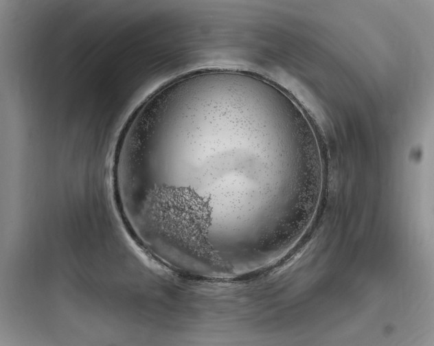 X0000097991237200803241334