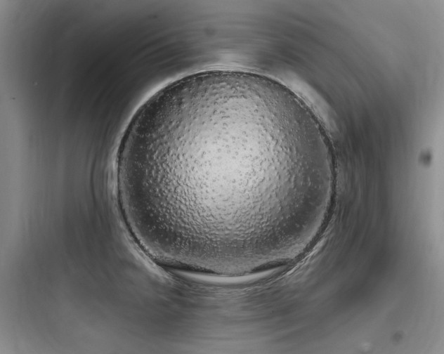 X0000097991238200803241334